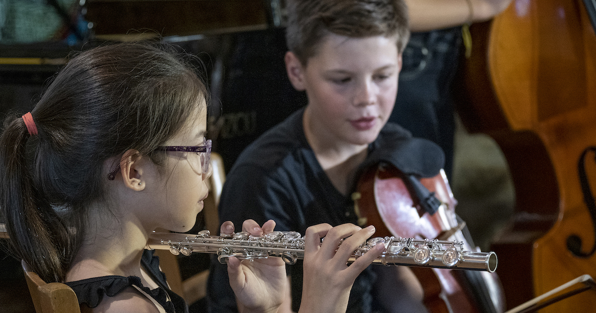accordissimo_blog_notes_de_musicien_banniere_007_comment_choisissons_nous-_notre_instrument_de_musique_stage_musique_juillet_2020_cecile_manoha_hd_logo_405
